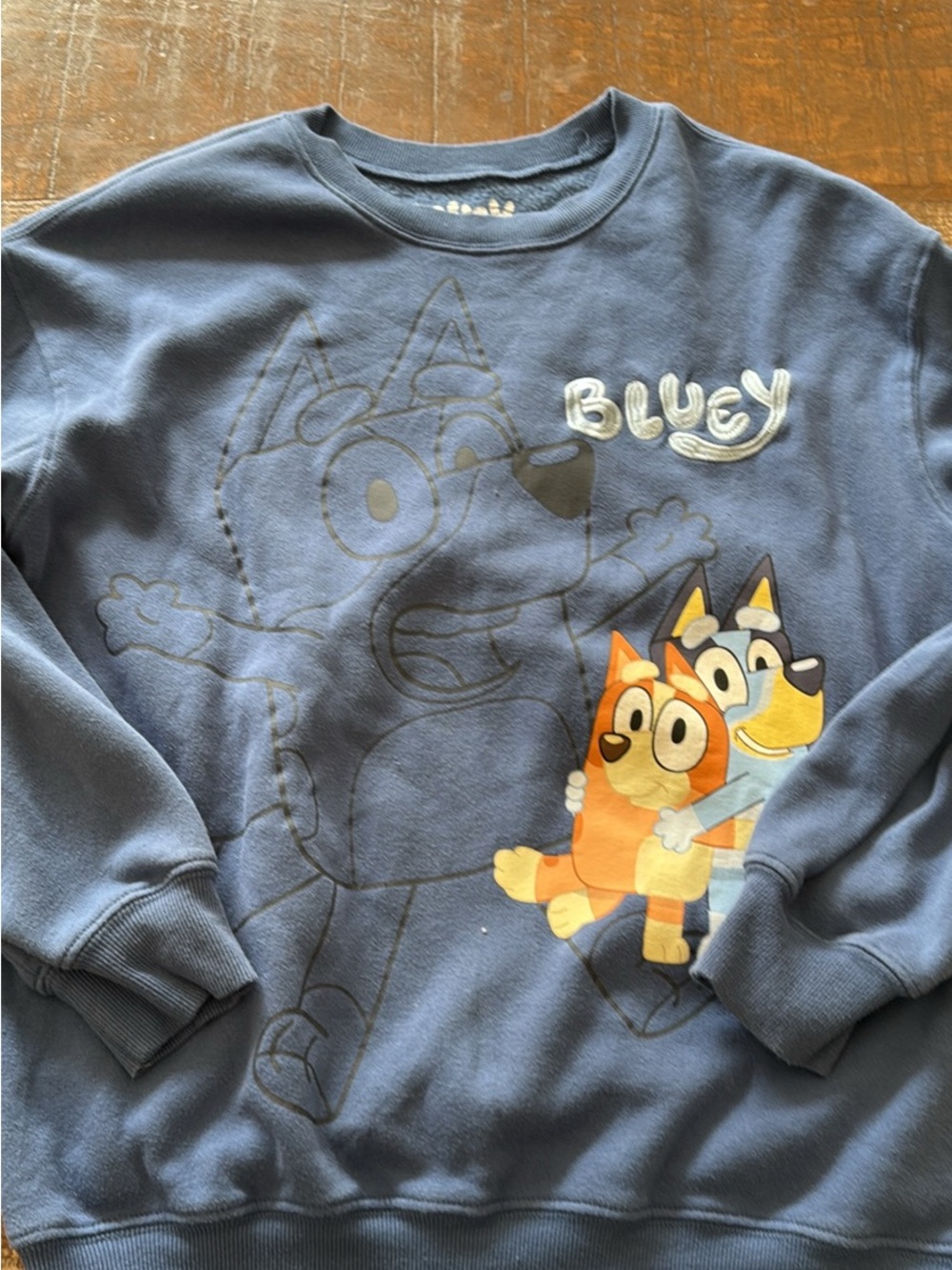 Bluey Sweatshirt - Medium